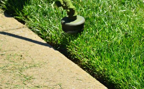 lawn care chula vista ca|Top 10 Best Lawn care providers in Chula Vista, CA 